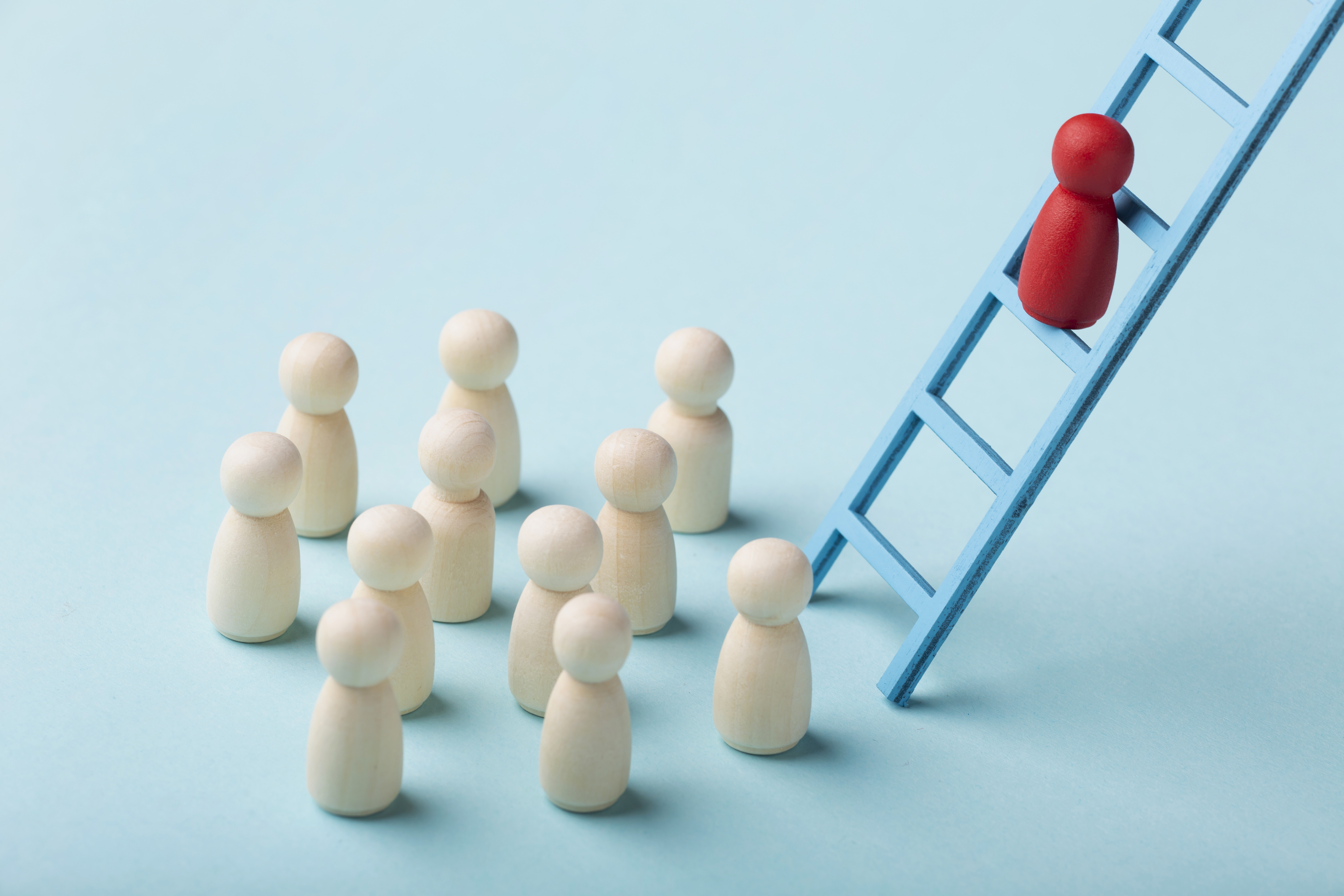 Executive Search & Leadership Hiring